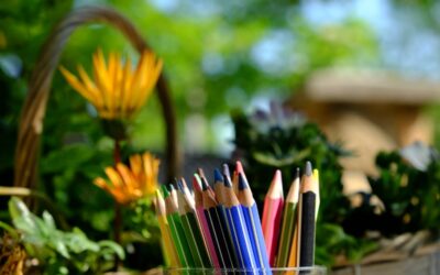 Felvétel az iskolába – 2021/2022