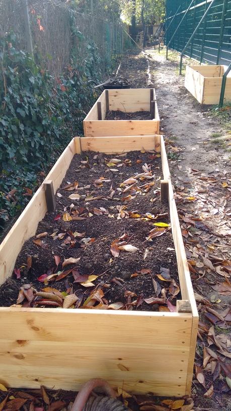 189305 1447240359260 3368704 n