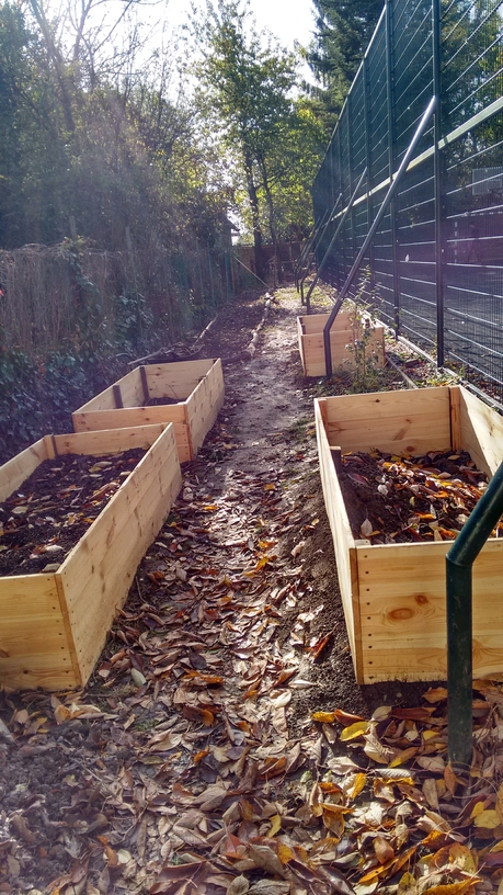 189305 1447240359260 3368704 n