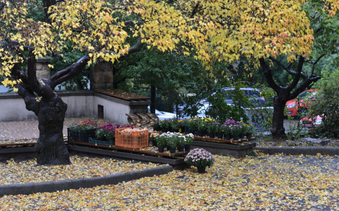 Hónapünnep 2. osztály – 2015 – galéria